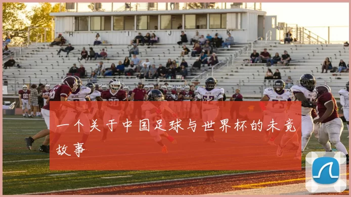 一个关于中国足球与世界杯的未竟故事