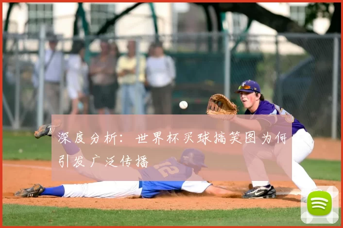 深度分析:世界杯买球搞笑图为何引发广泛传播