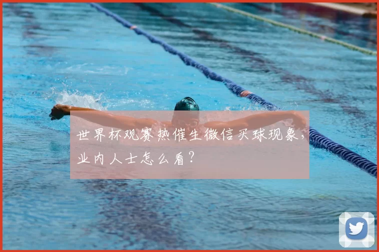 世界杯观赛热催生微信买球现象,业内人士怎么看?