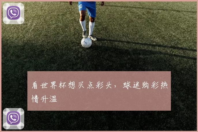 看世界杯想买点彩头,球迷购彩热情升温