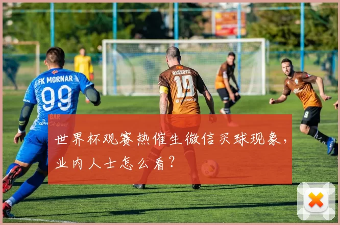 世界杯观赛热催生微信买球现象,业内人士怎么看?