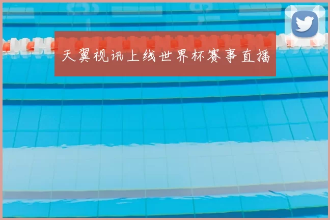 天翼视讯上线世界杯赛事直播