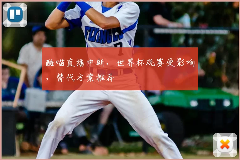 酷喵直播中断,世界杯观赛受影响,替代方案推荐