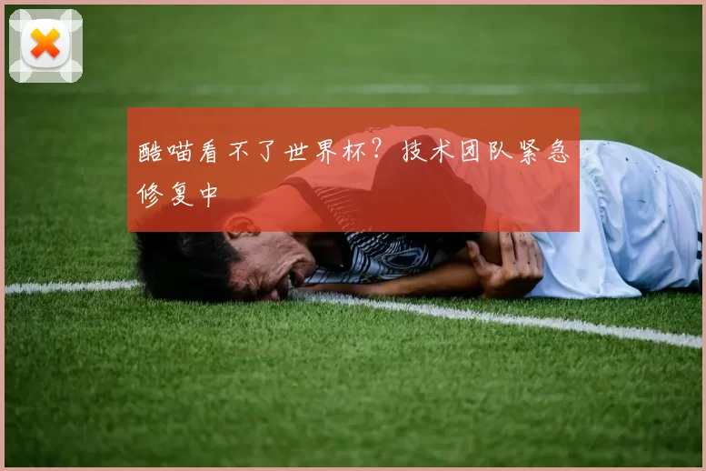 酷喵看不了世界杯?技术团队紧急修复中