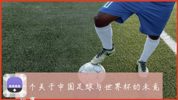一个关于中国足球与世界杯的未竟故事