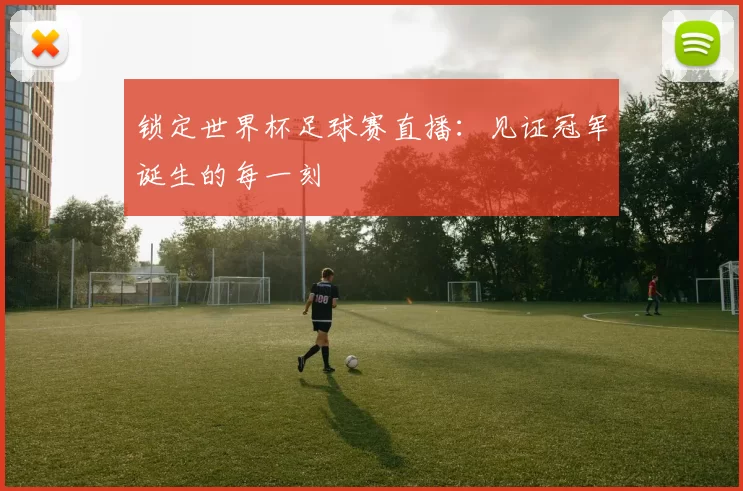 锁定世界杯足球赛直播:见证冠军诞生的每一刻