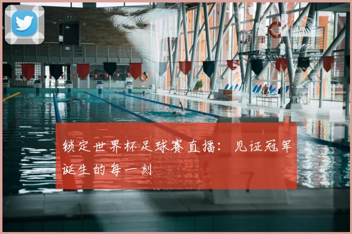 锁定世界杯足球赛直播：见证冠军诞生的每一刻