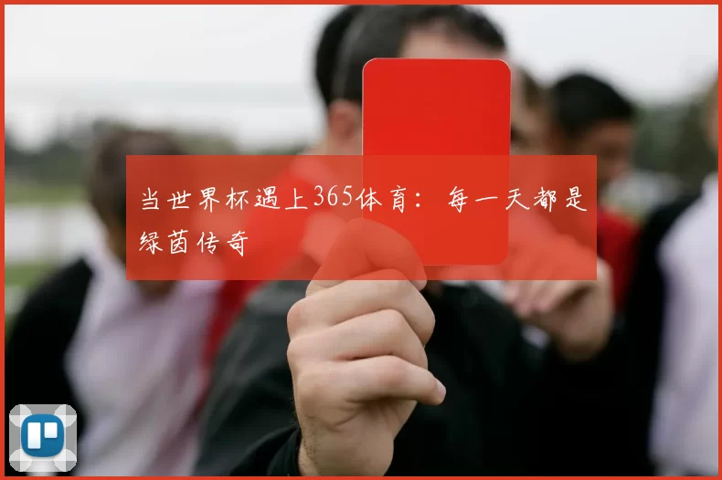 当世界杯遇上365体育:每一天都是绿茵传奇