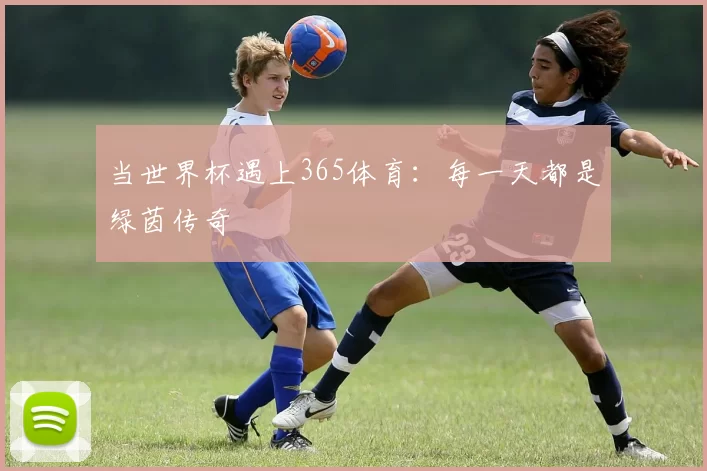 当世界杯遇上365体育：每一天都是绿茵传奇