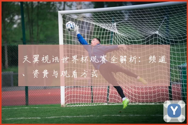 天翼视讯世界杯观赛全解析:频道、资费与观看方式