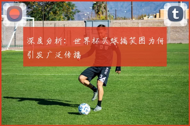 深度分析:世界杯买球搞笑图为何引发广泛传播