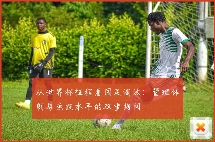 从世界杯征程看国足淘汰:管理体制与竞技水平的双重拷问